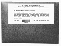 Image Associated With the Occurrence